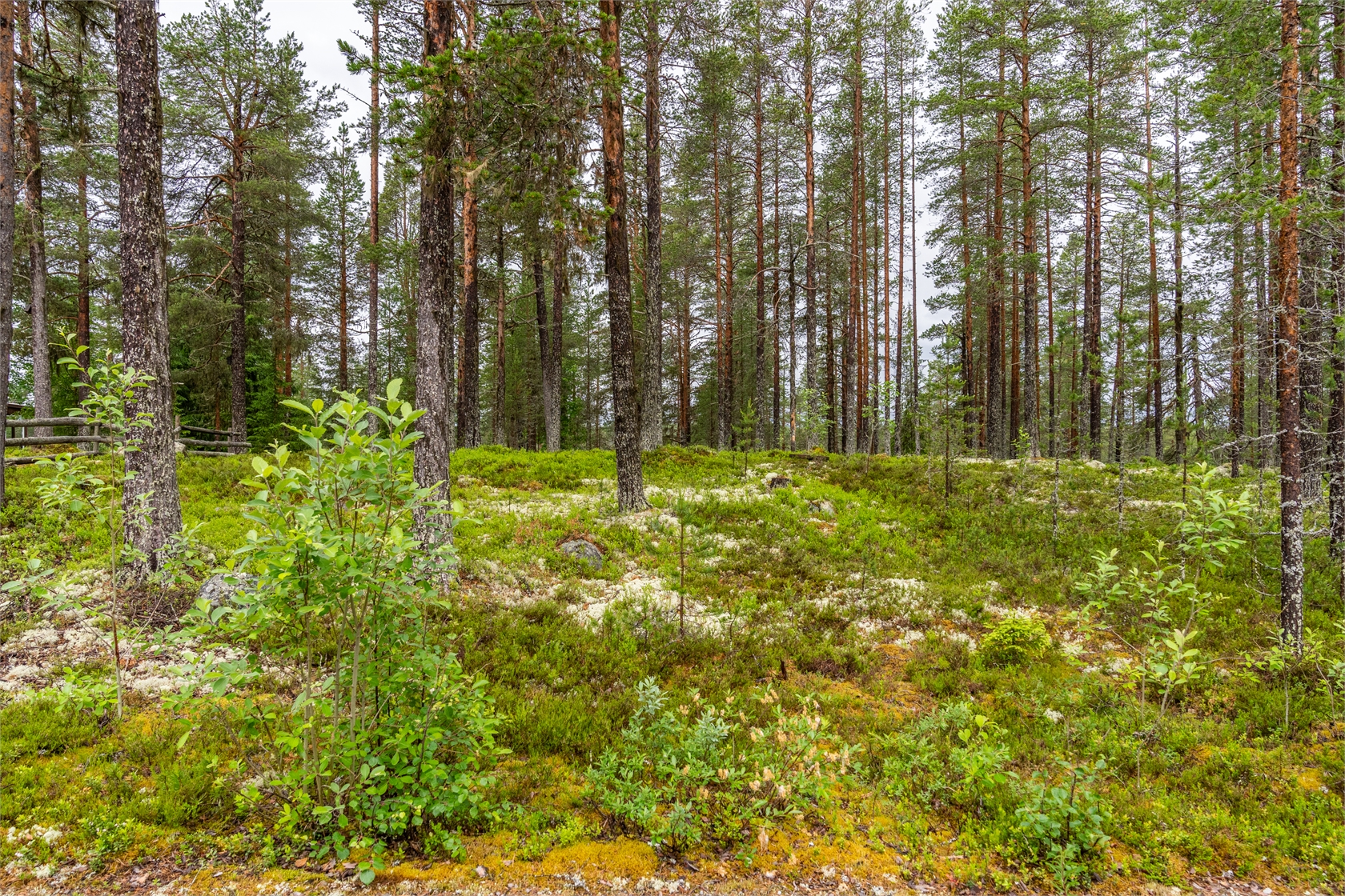 Tomt i Grötholen – bild 2