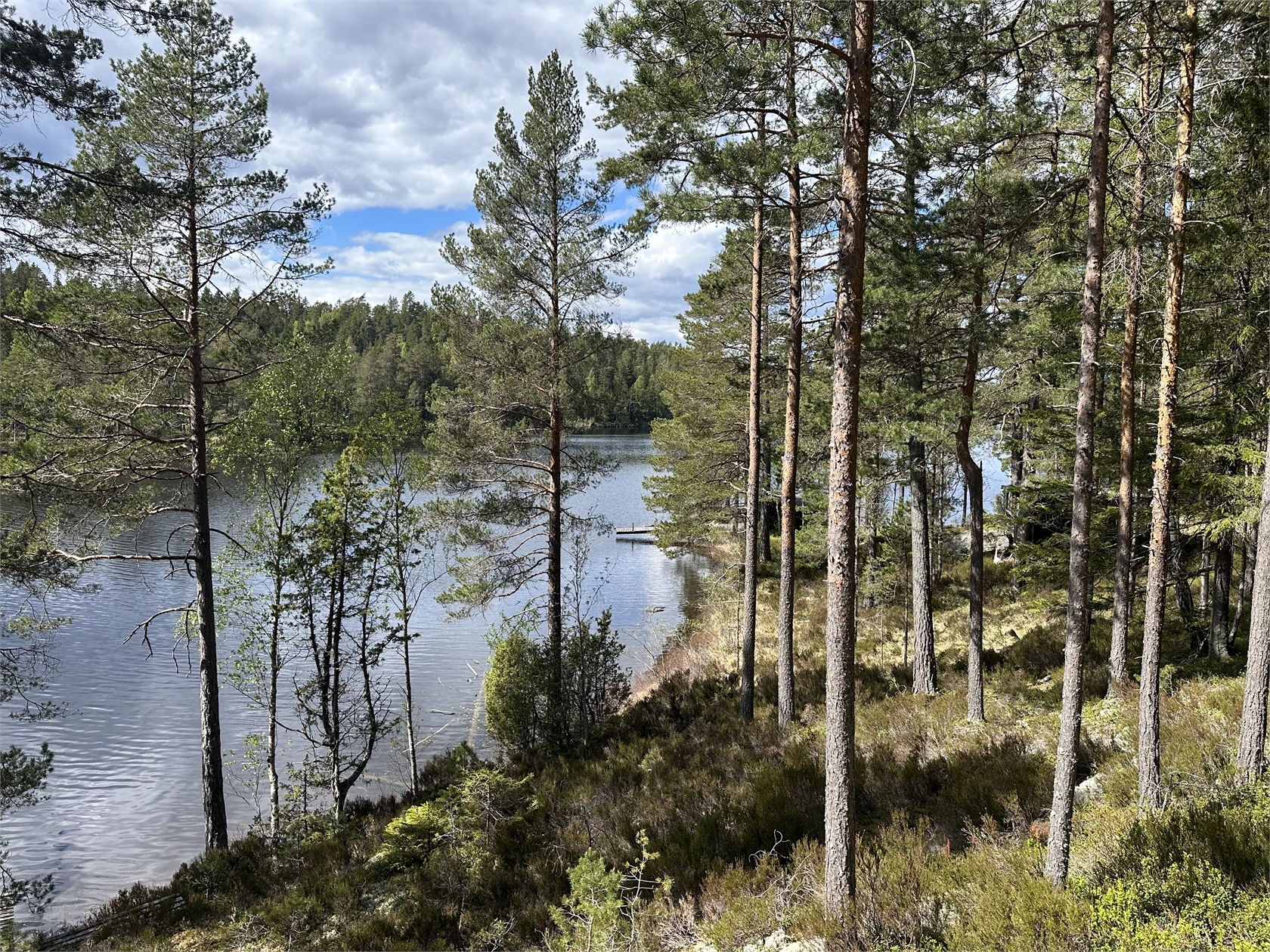 Mon Krokvattnet 1 o 2 – bild 11