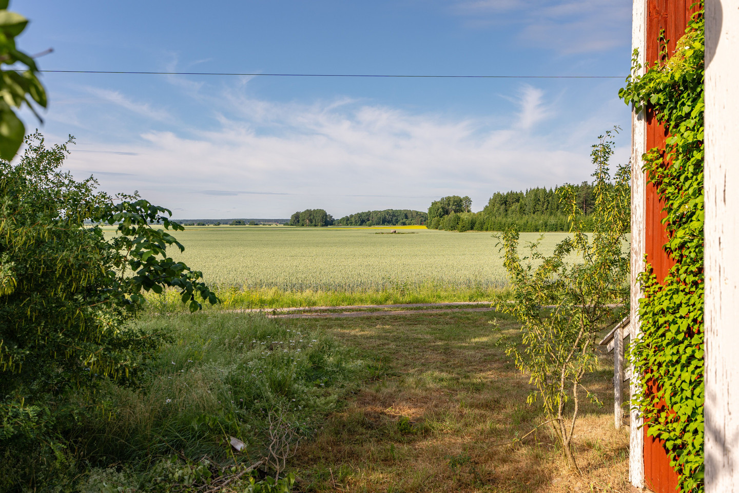 Kättslinge 302 – bild 6