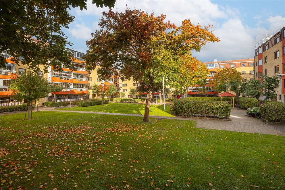 Nedre Arbetshusgatan 75