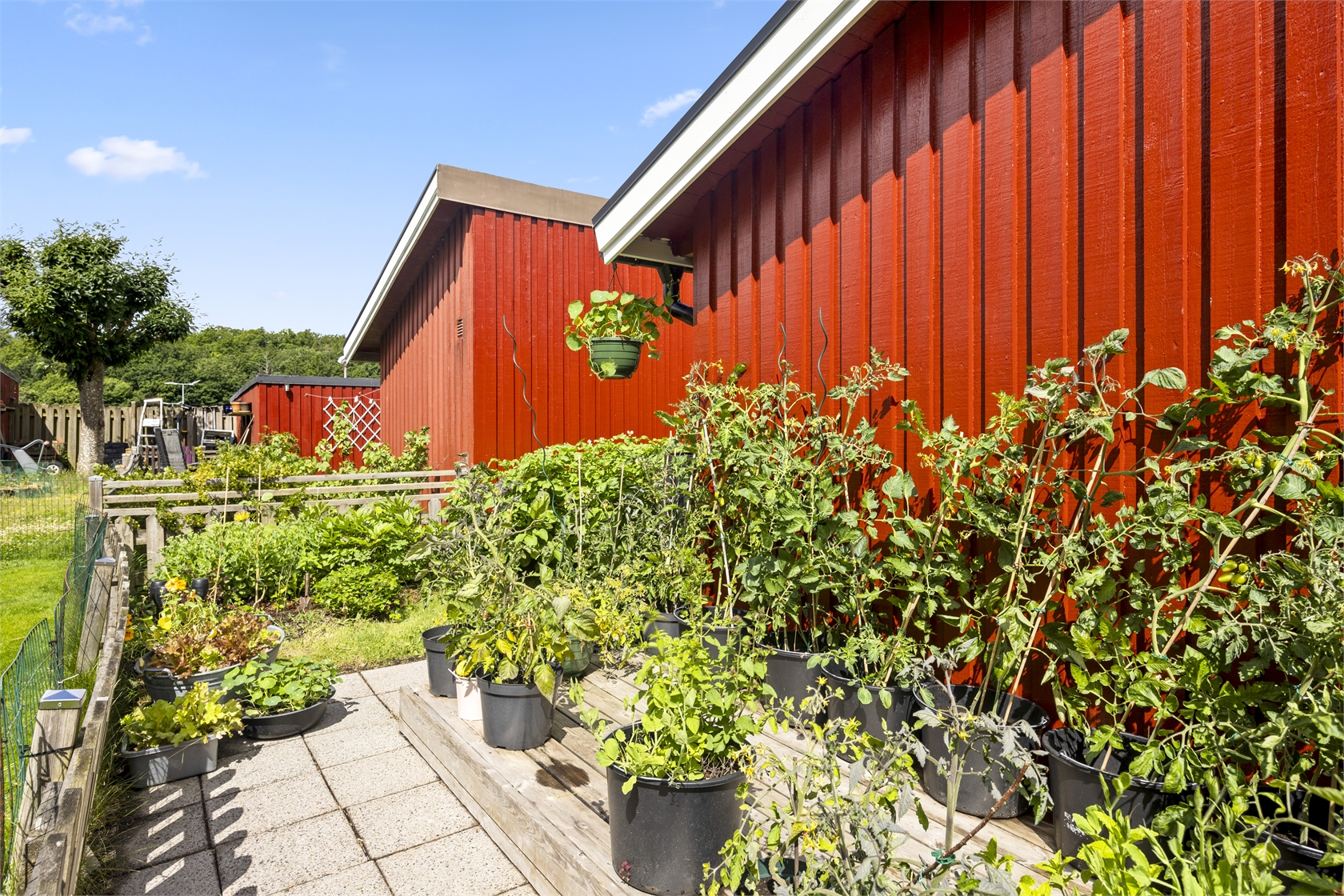 Gulklövergatan 50 – bild 21