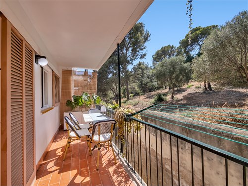 El Terreno | Mallorca