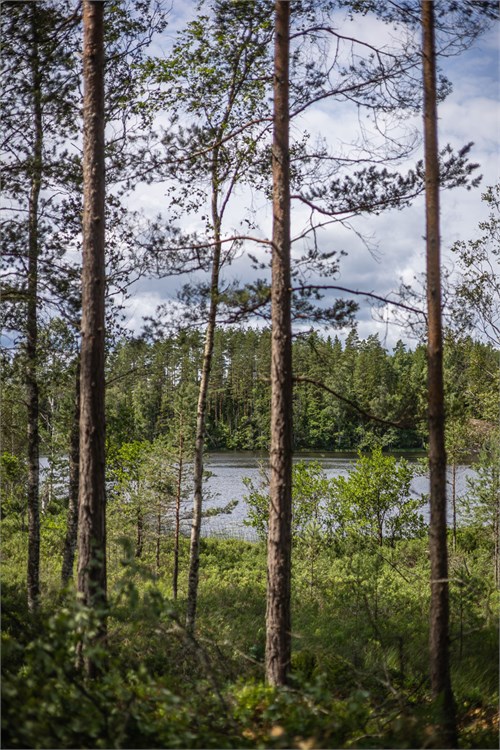 Del av Nässjö Horsnäs 1:11 