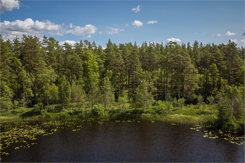 Del av Nässjö Horsnäs 1:11 