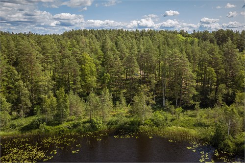Del av Nässjö Horsnäs 1:11 