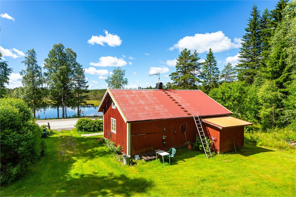 Gränseskogen 149