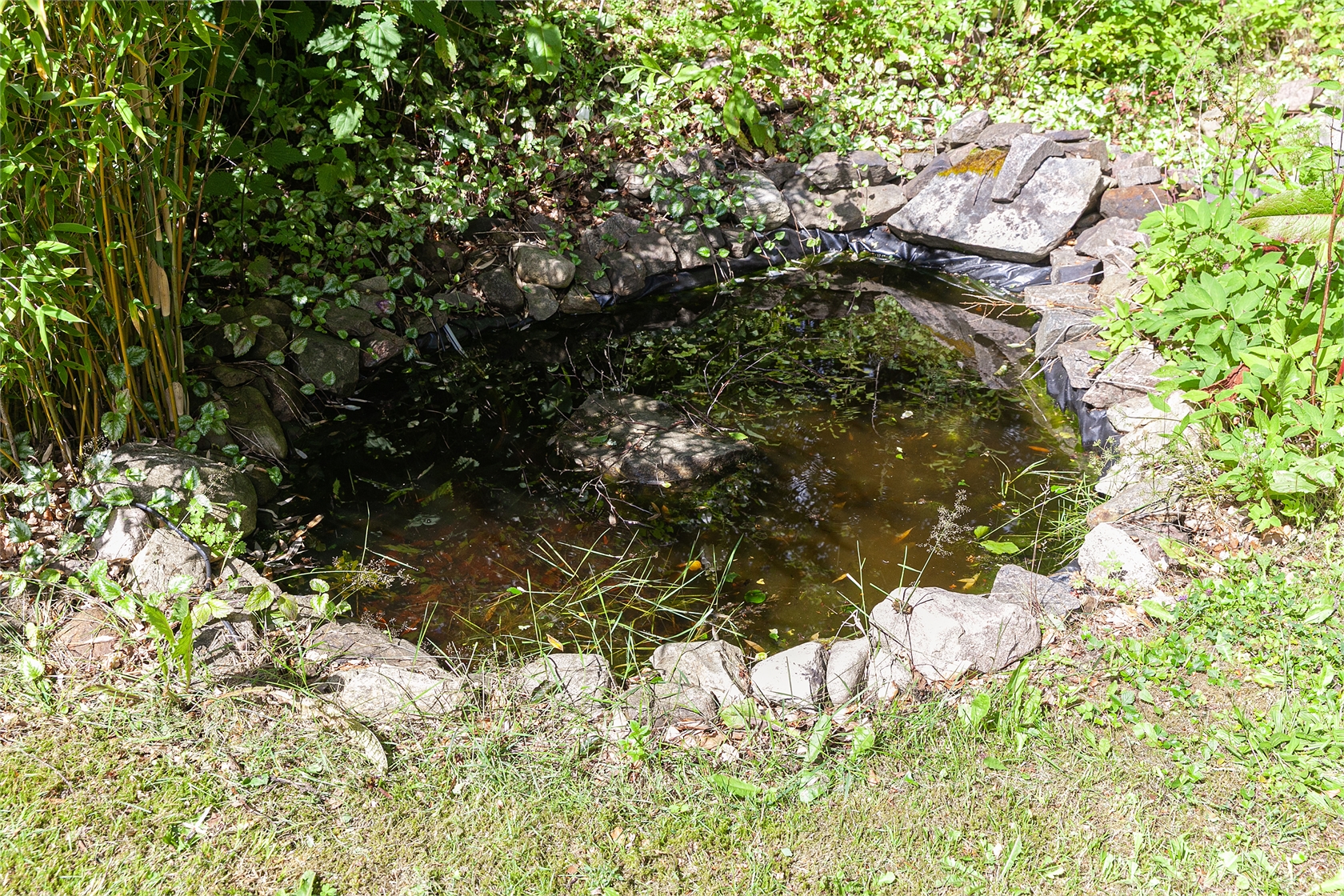 Fåglasång 1005 – bild 15