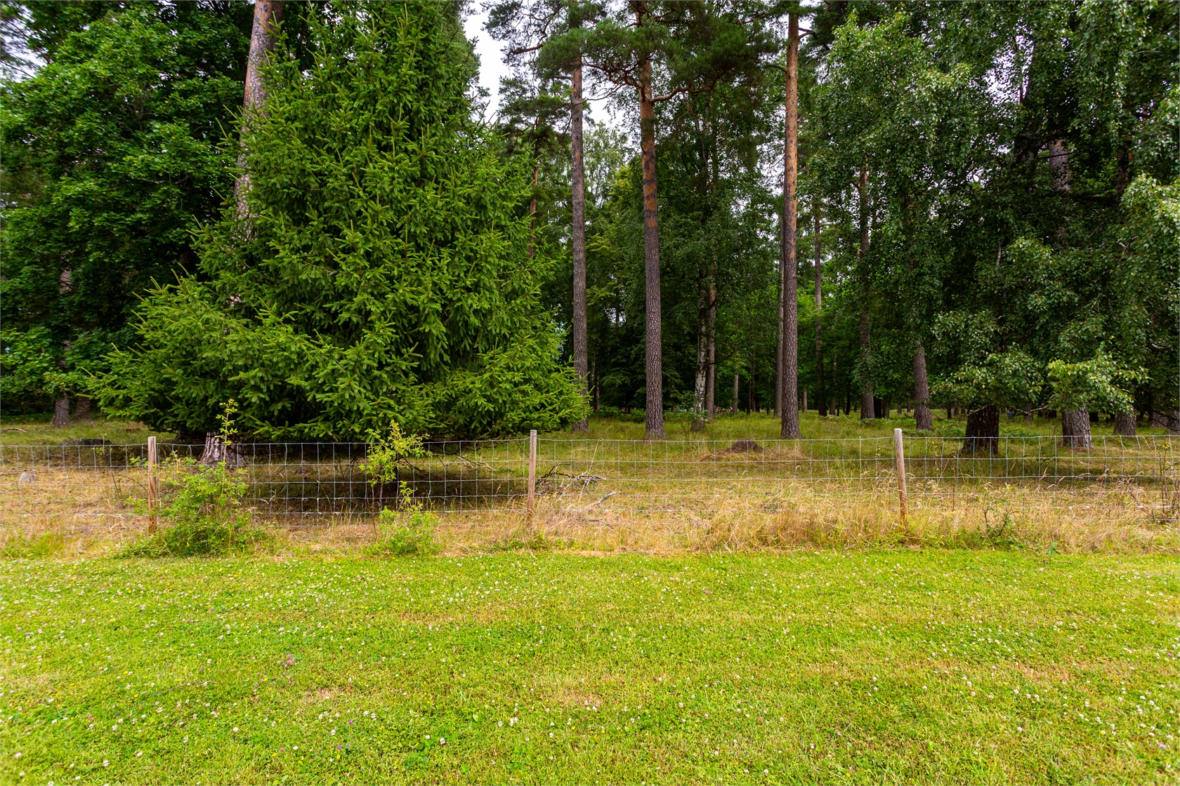 Tallgatan 25 – bild 17
