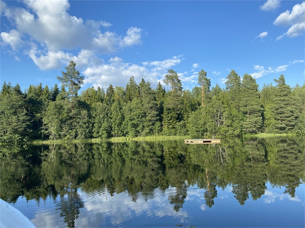 Runsvik 206