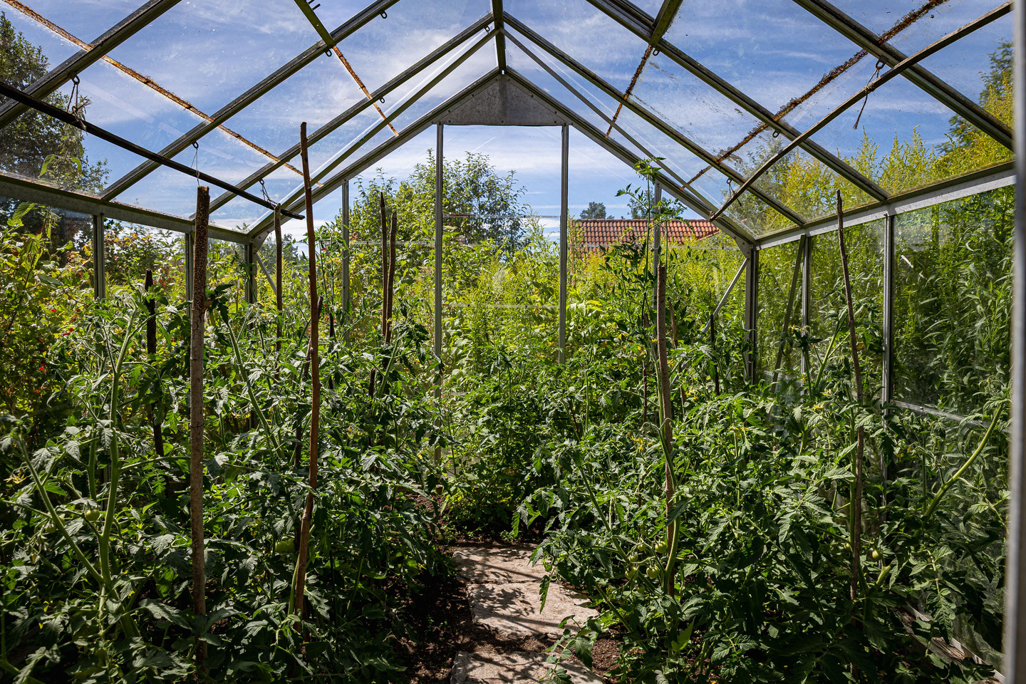 Mäster Olas väg 7 – bild 12