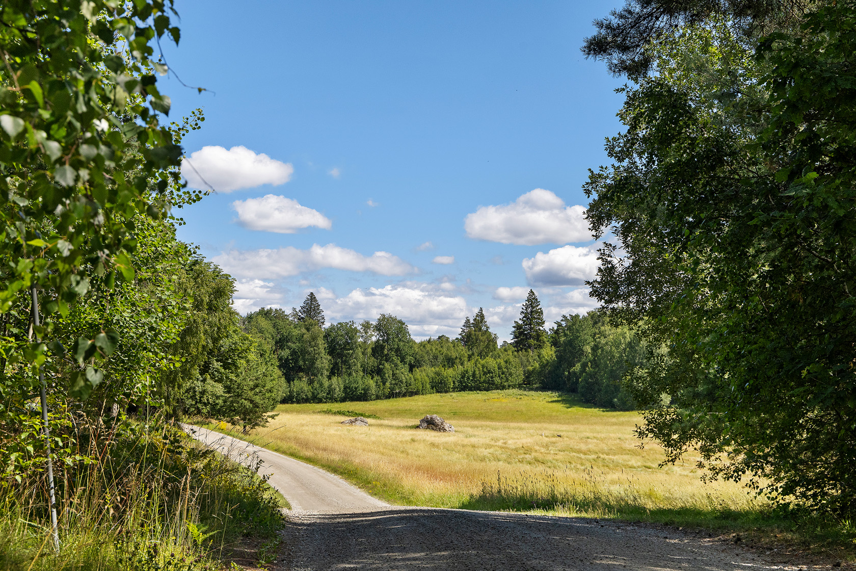 Kämsta 5 – bild 31
