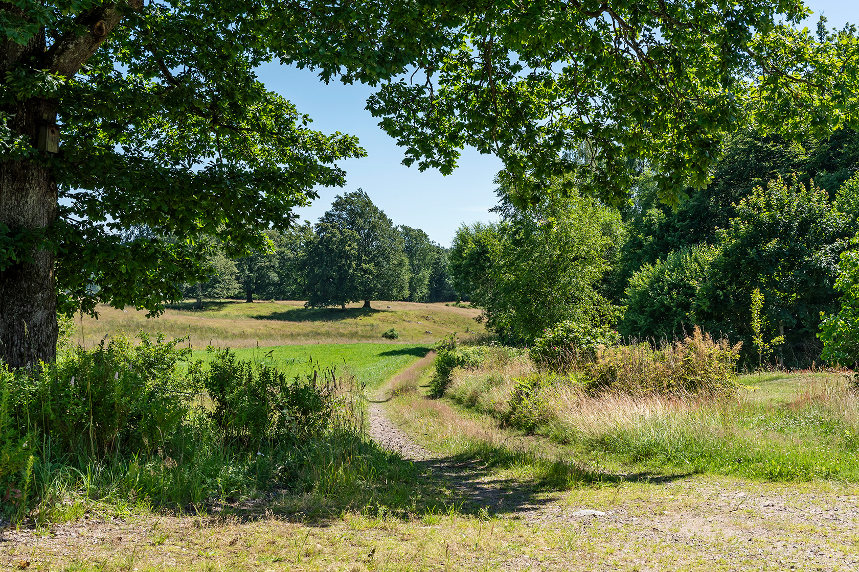 Svenshult 13 – bild 24