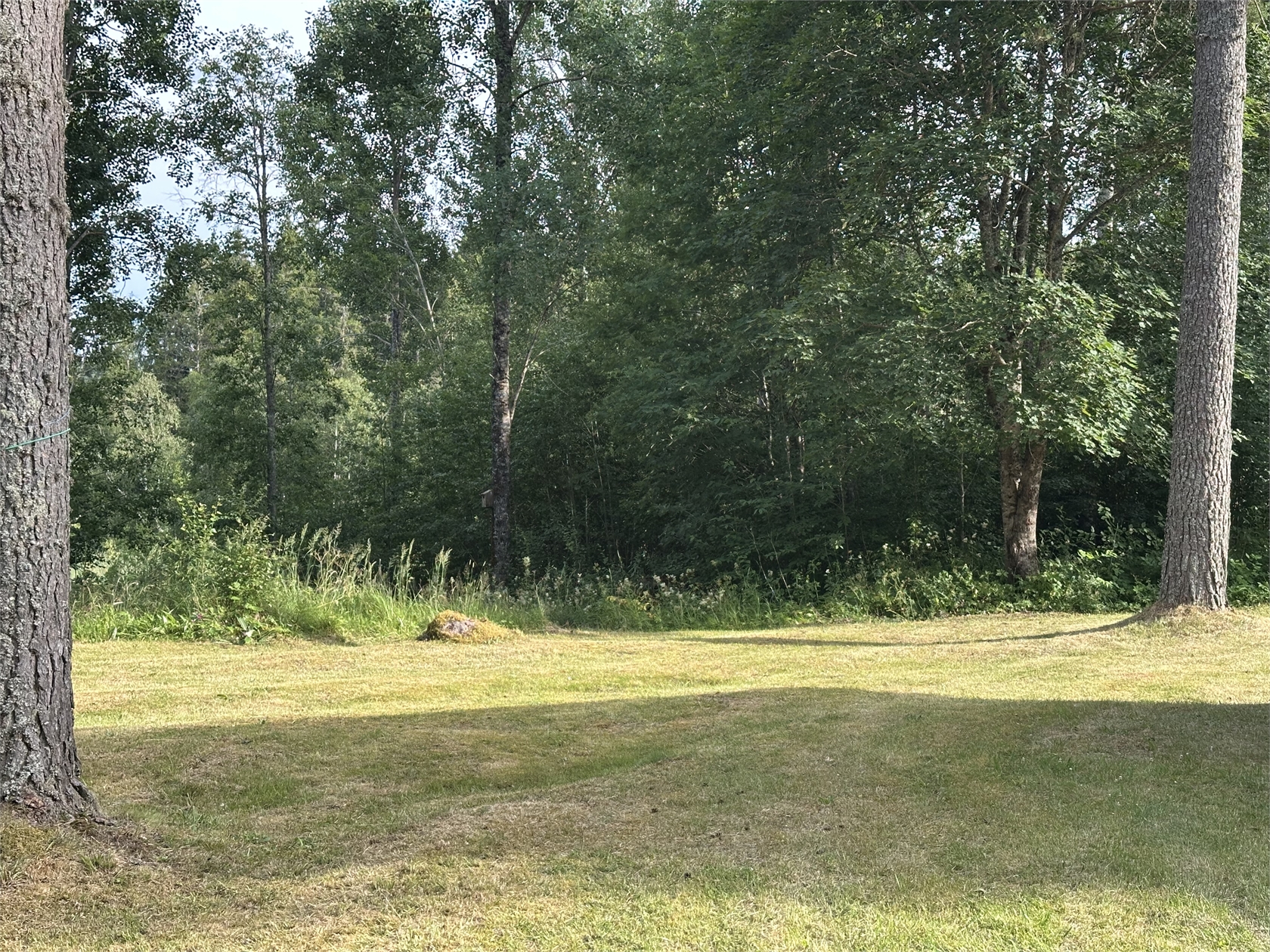 Stallarebyn Torptjärn 1 – bild 24