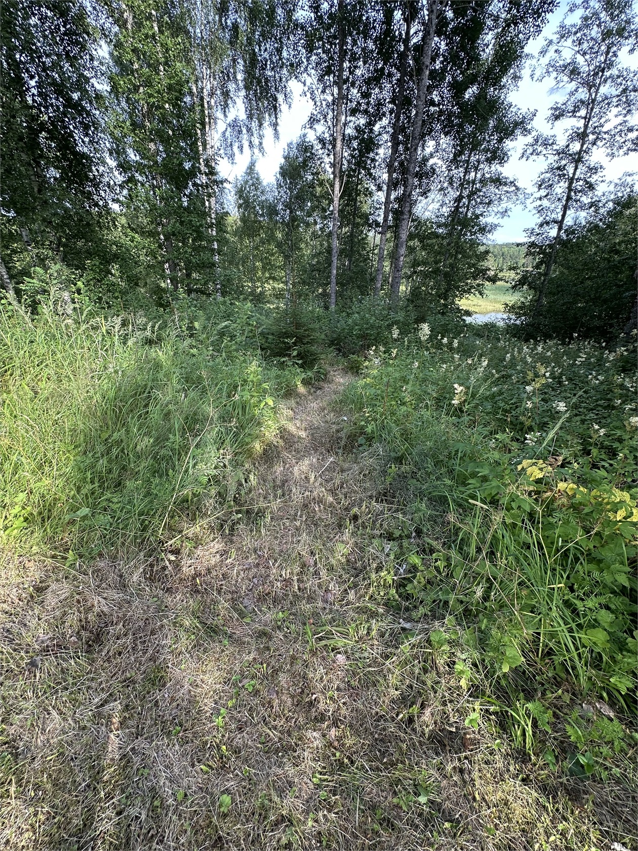 Stallarebyn Torptjärn 1 – bild 26