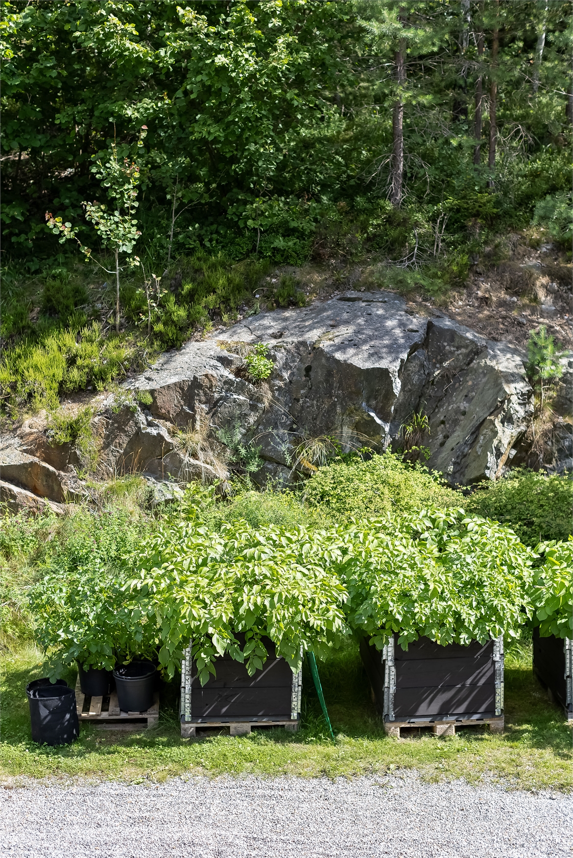 Fornborgsvägen 33 – bild 15