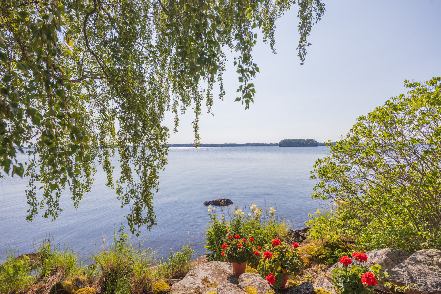 Kopparharsholmen 1 – bild 2