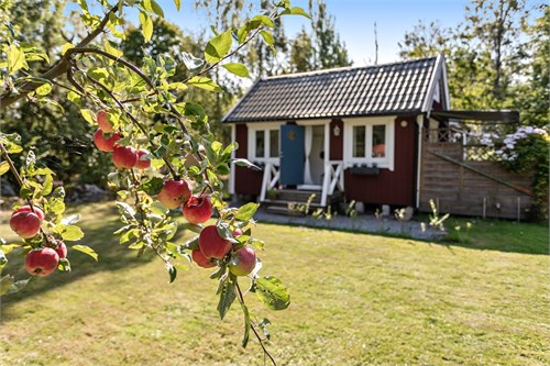 Norra Vinön 343