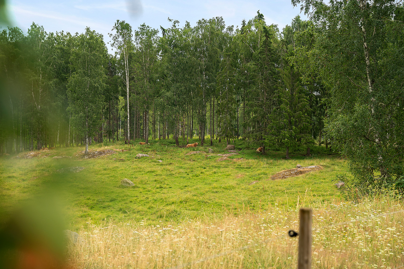 Bada 47 – bild 27
