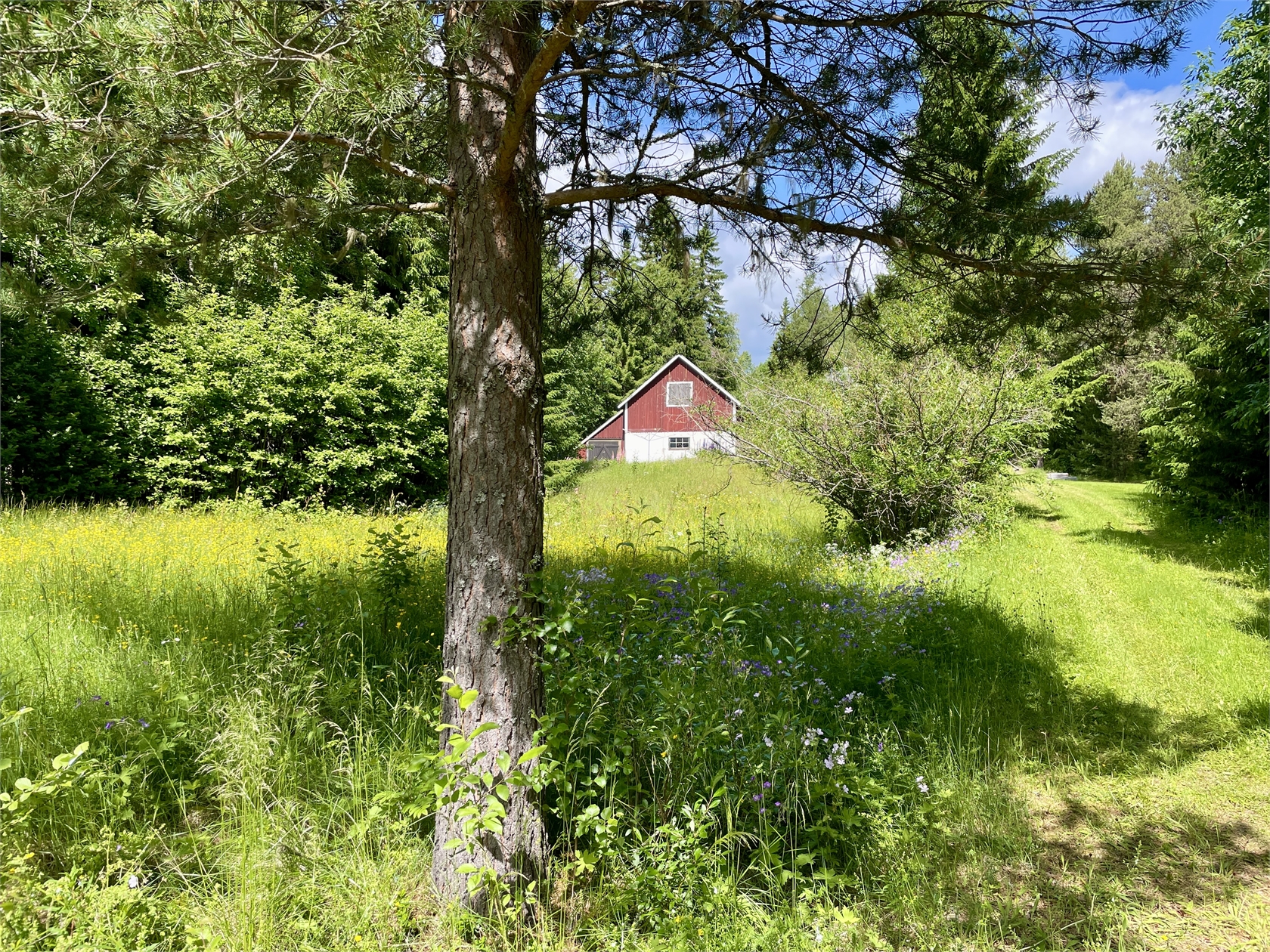Vallen 169 – bild 4