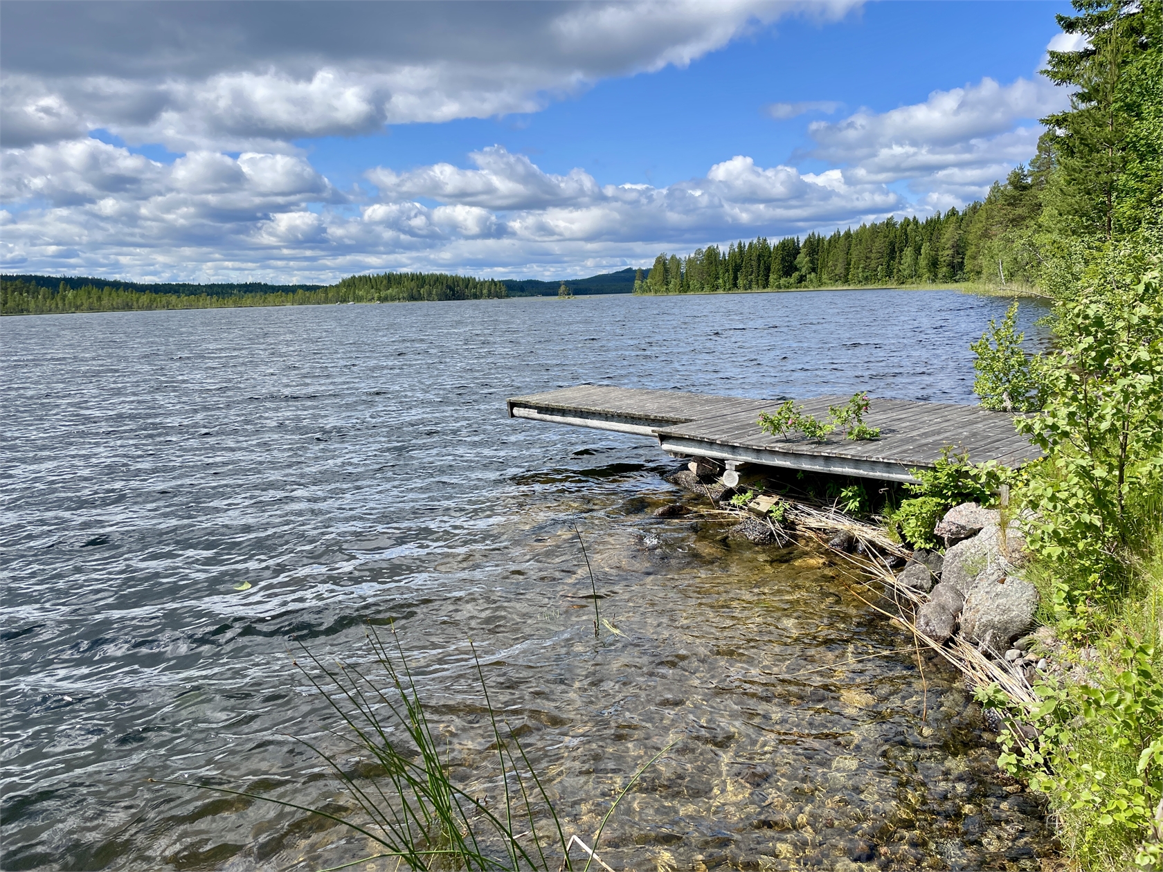 Vallen 169 – bild 7
