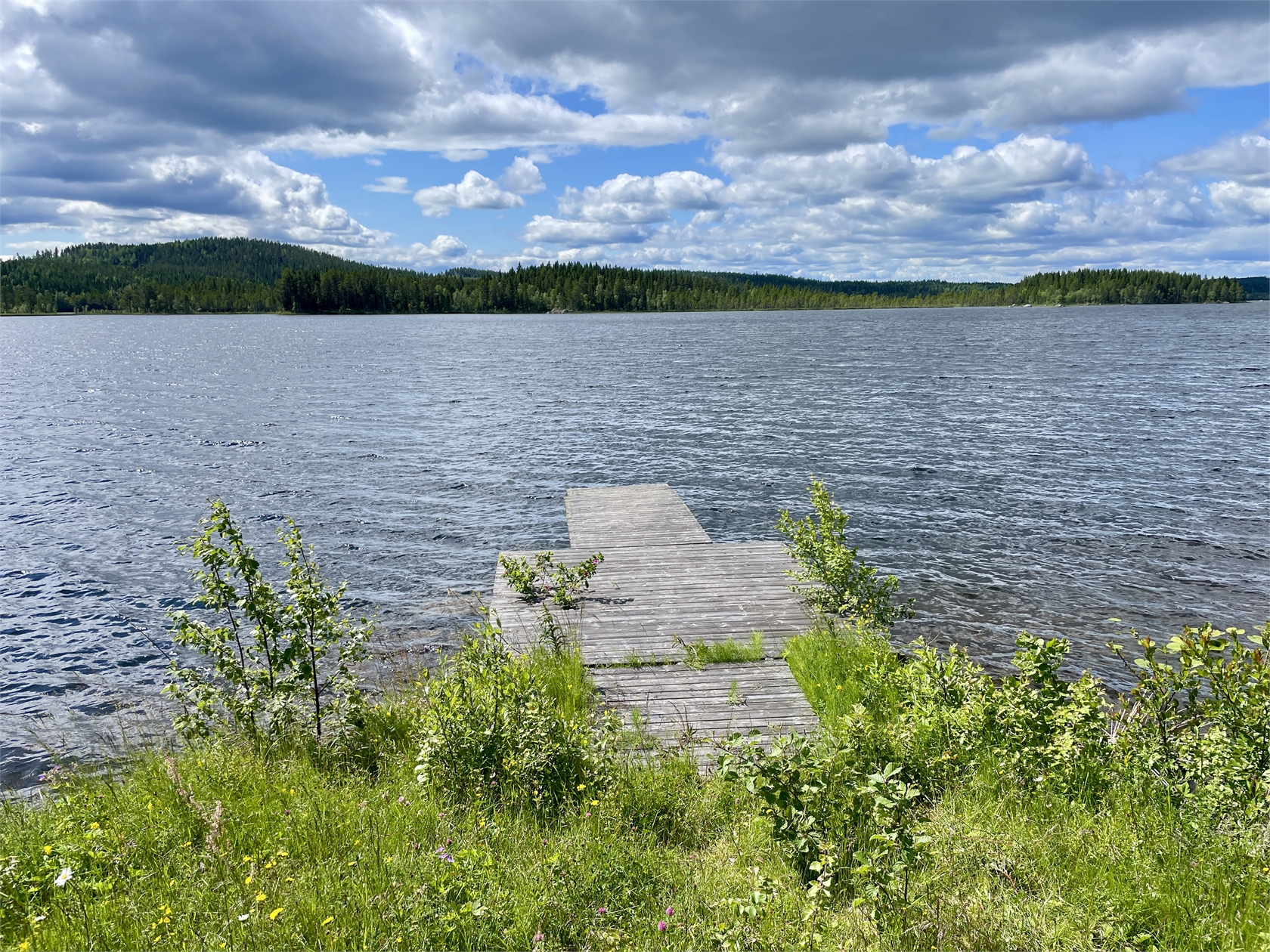 Vallen 169 – bild 8
