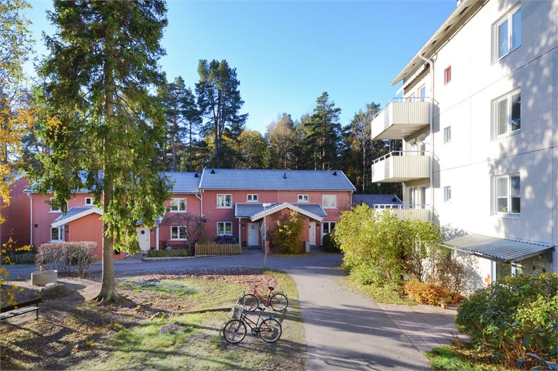 Gård