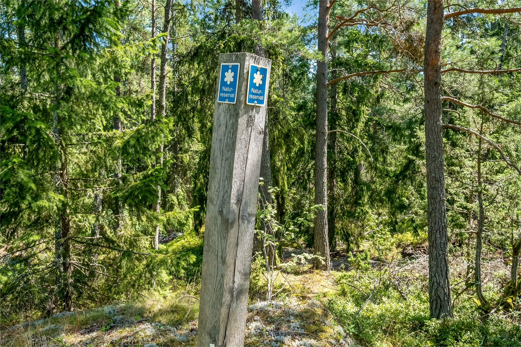 Sjöviksvägen 42 – bild 28