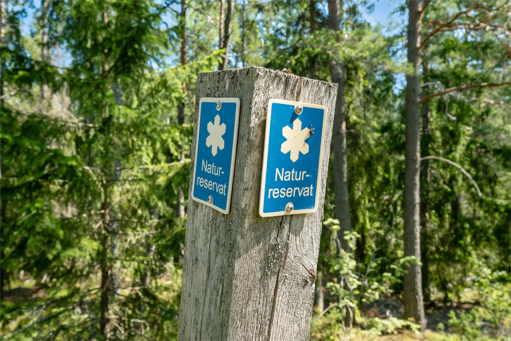 Sjöviksvägen 42 – bild 27