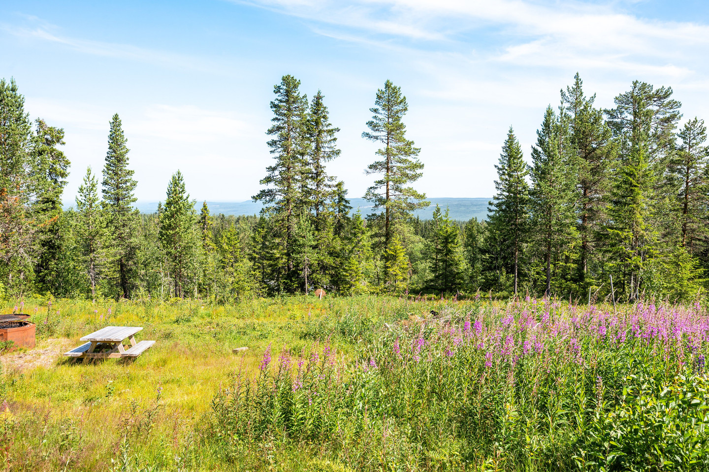 Myrbodvägen 16 A+B – bild 53