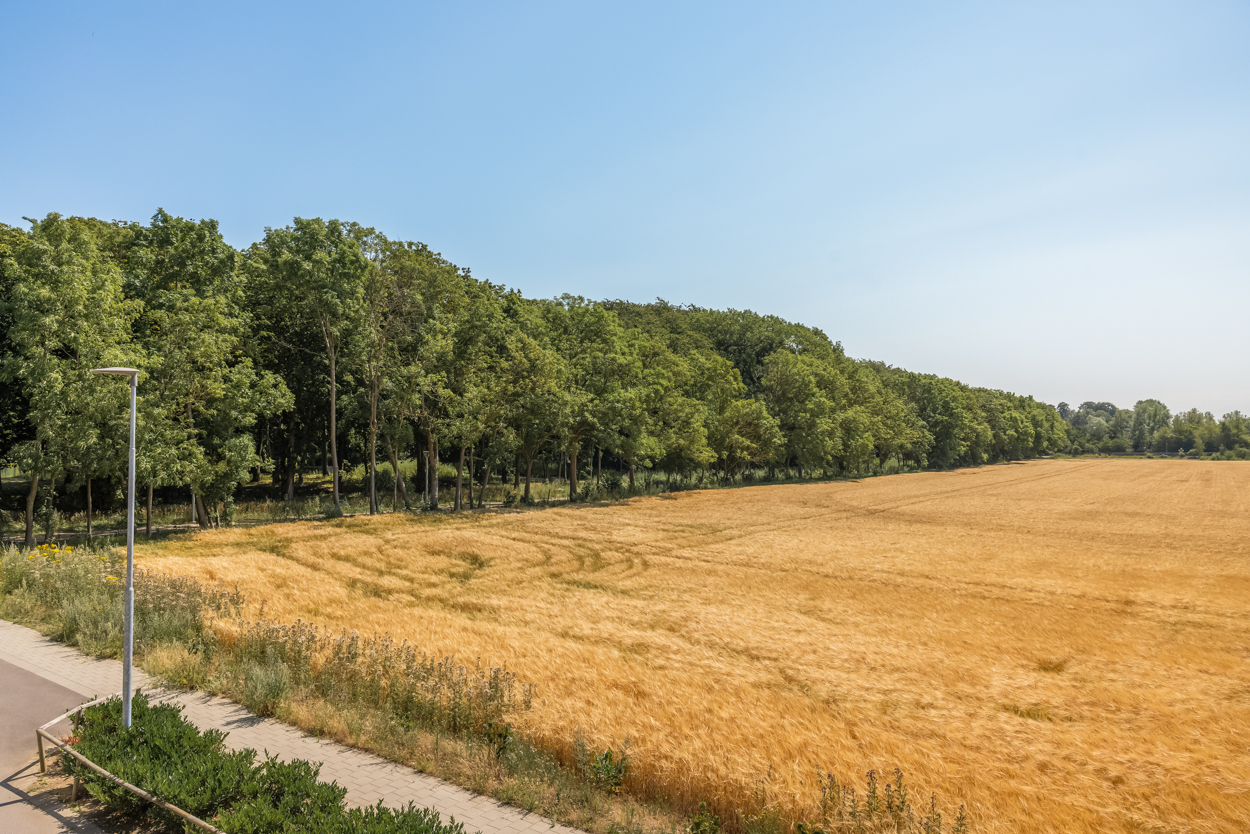Kronetorps Allé 31B – bild 23