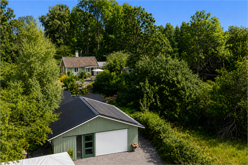 AI-genererad bild