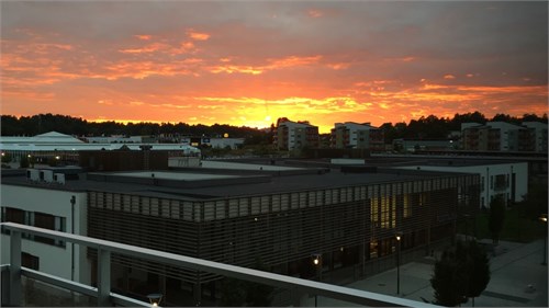 Säljarens bild