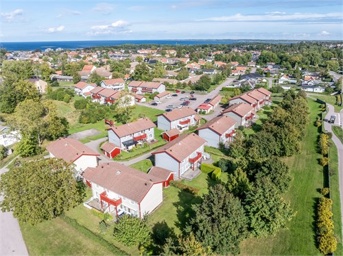 Fått bifall på spridningstillstyånd 11/11