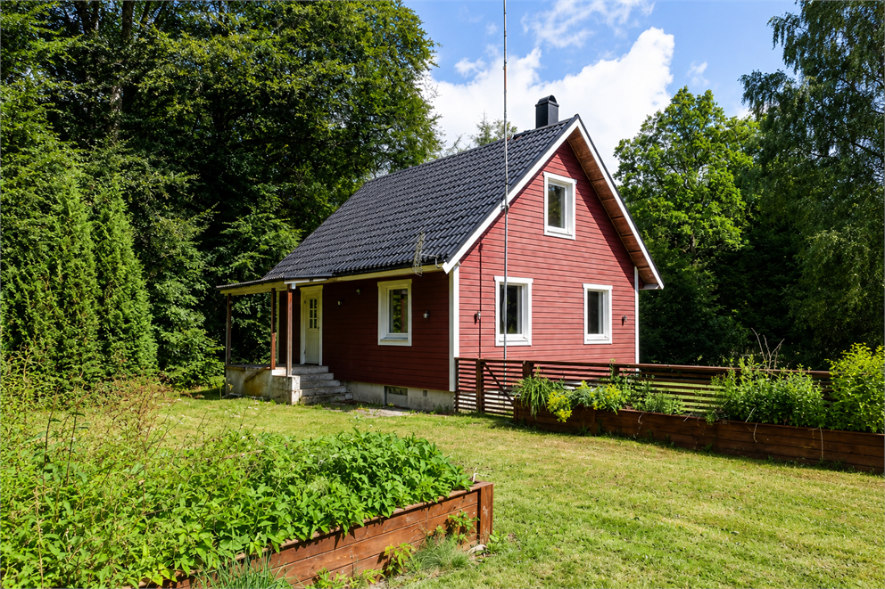 Fåglasång 1005