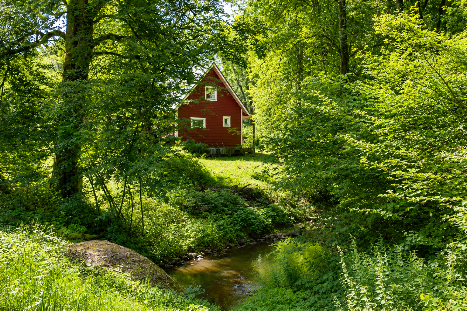 Fåglasång 1005 – bild 13