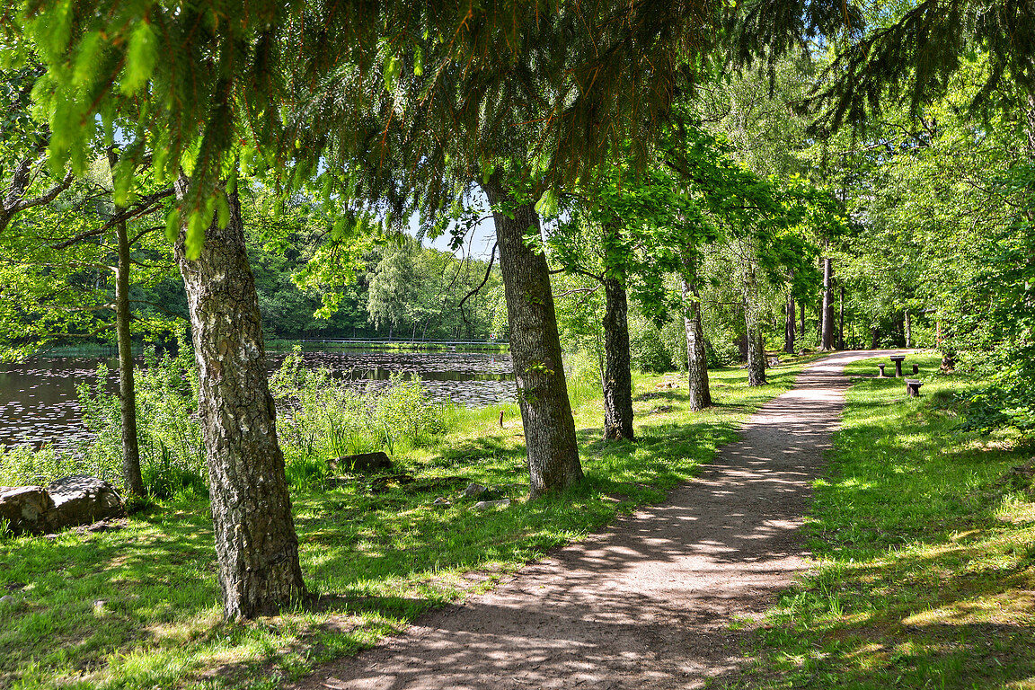 Fåglasång 1005 – bild 27
