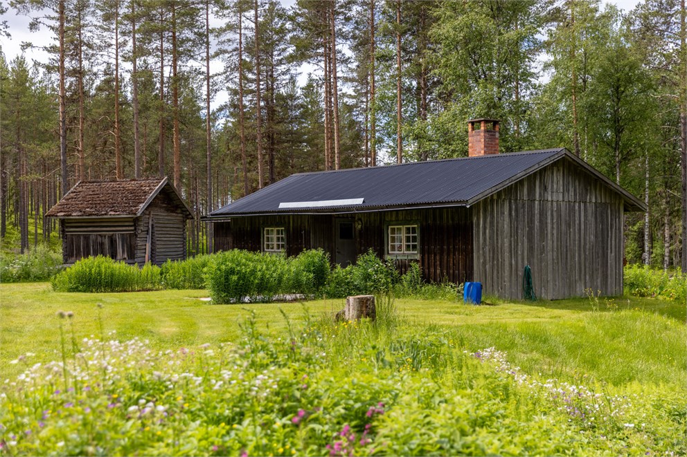 Ribbåsen 58