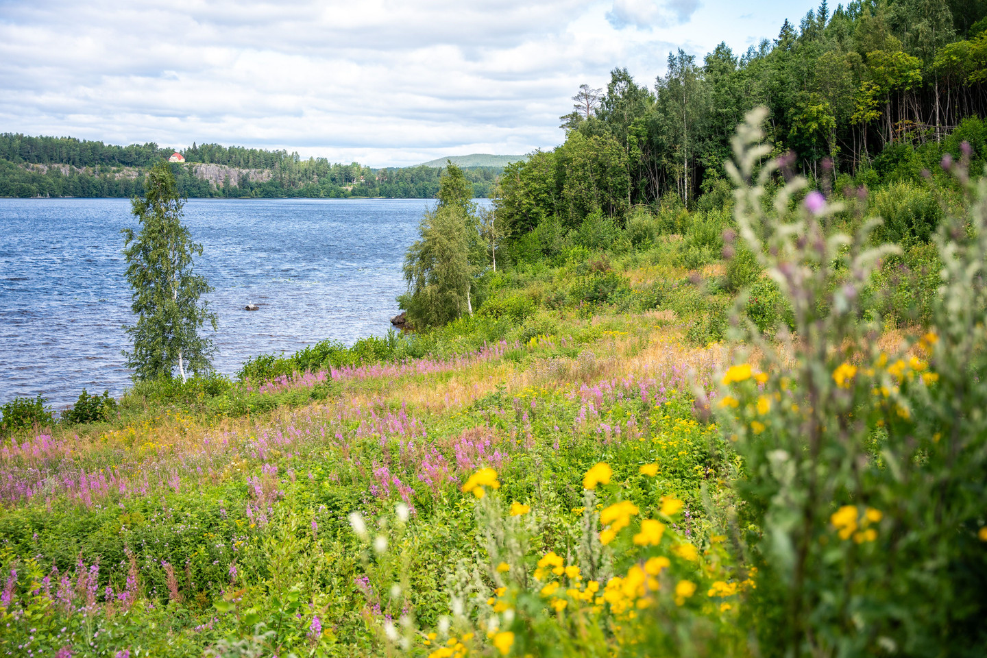 Tomt – Kramfors