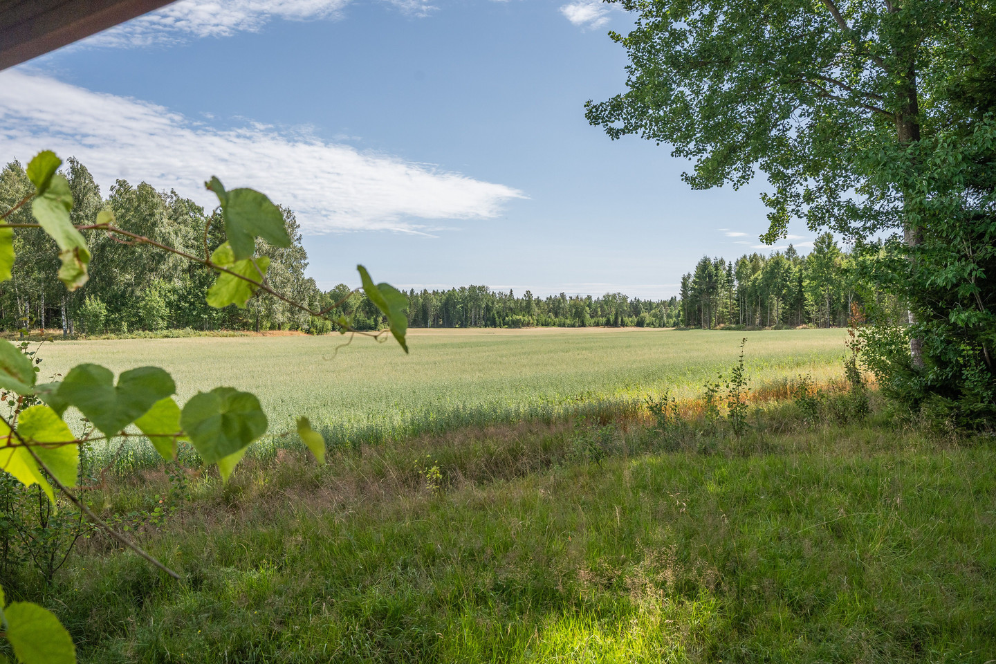 Botilsäters-Byn Skogaryd – bild 46
