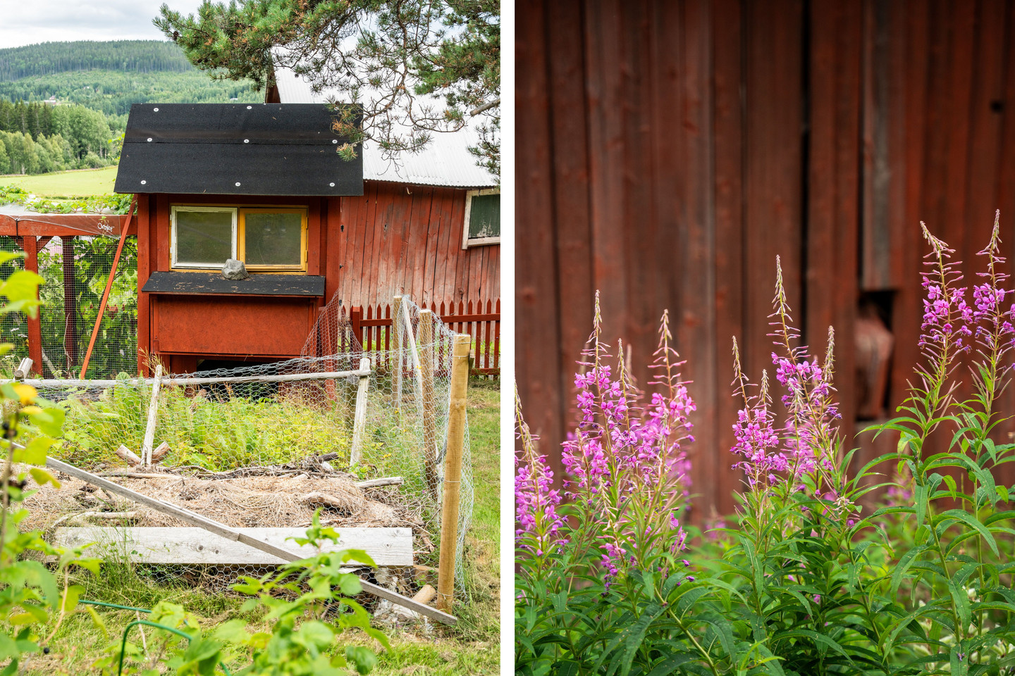 Utanskog 103 – bild 45
