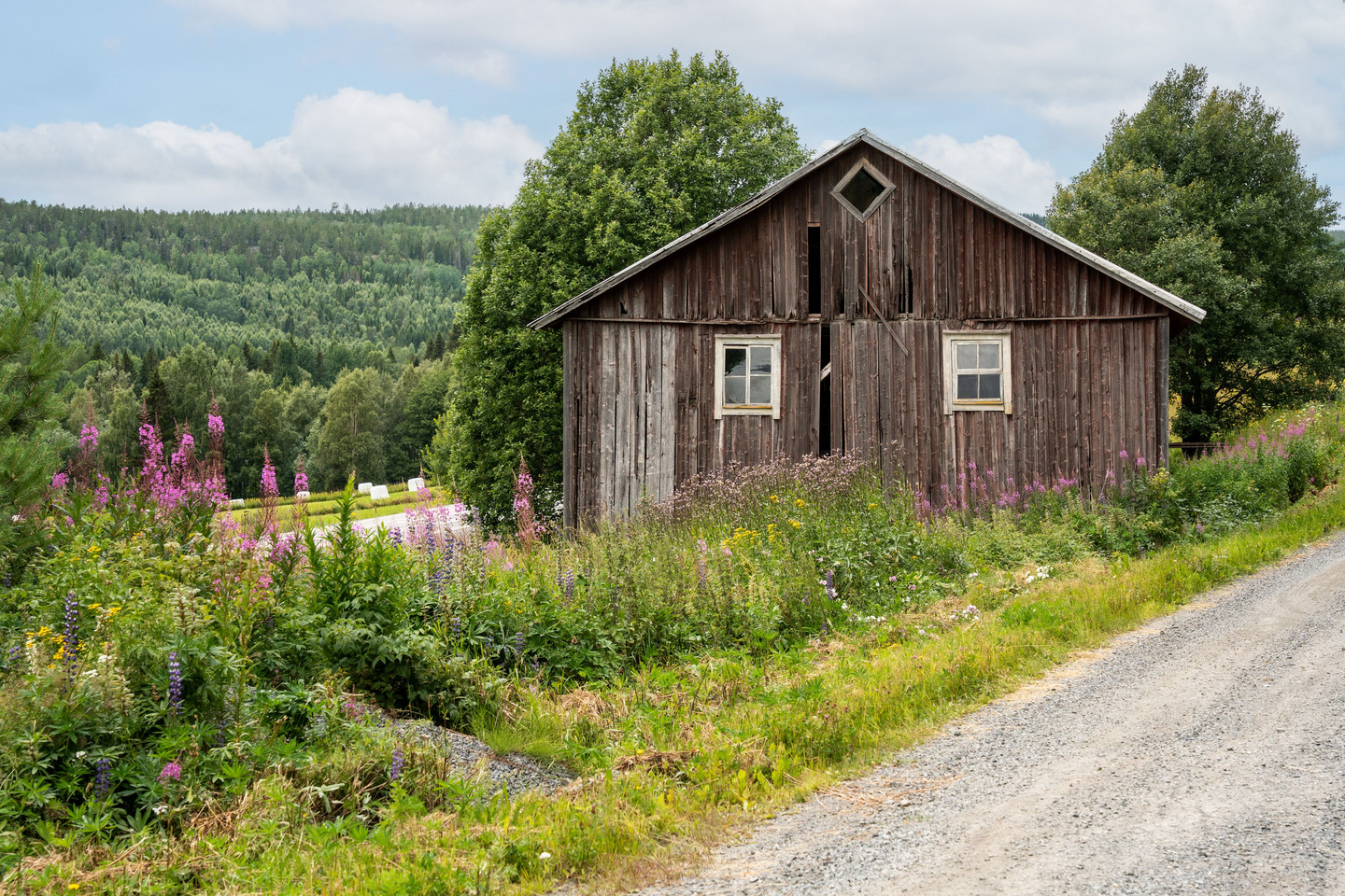 Utanskog 103 – bild 48