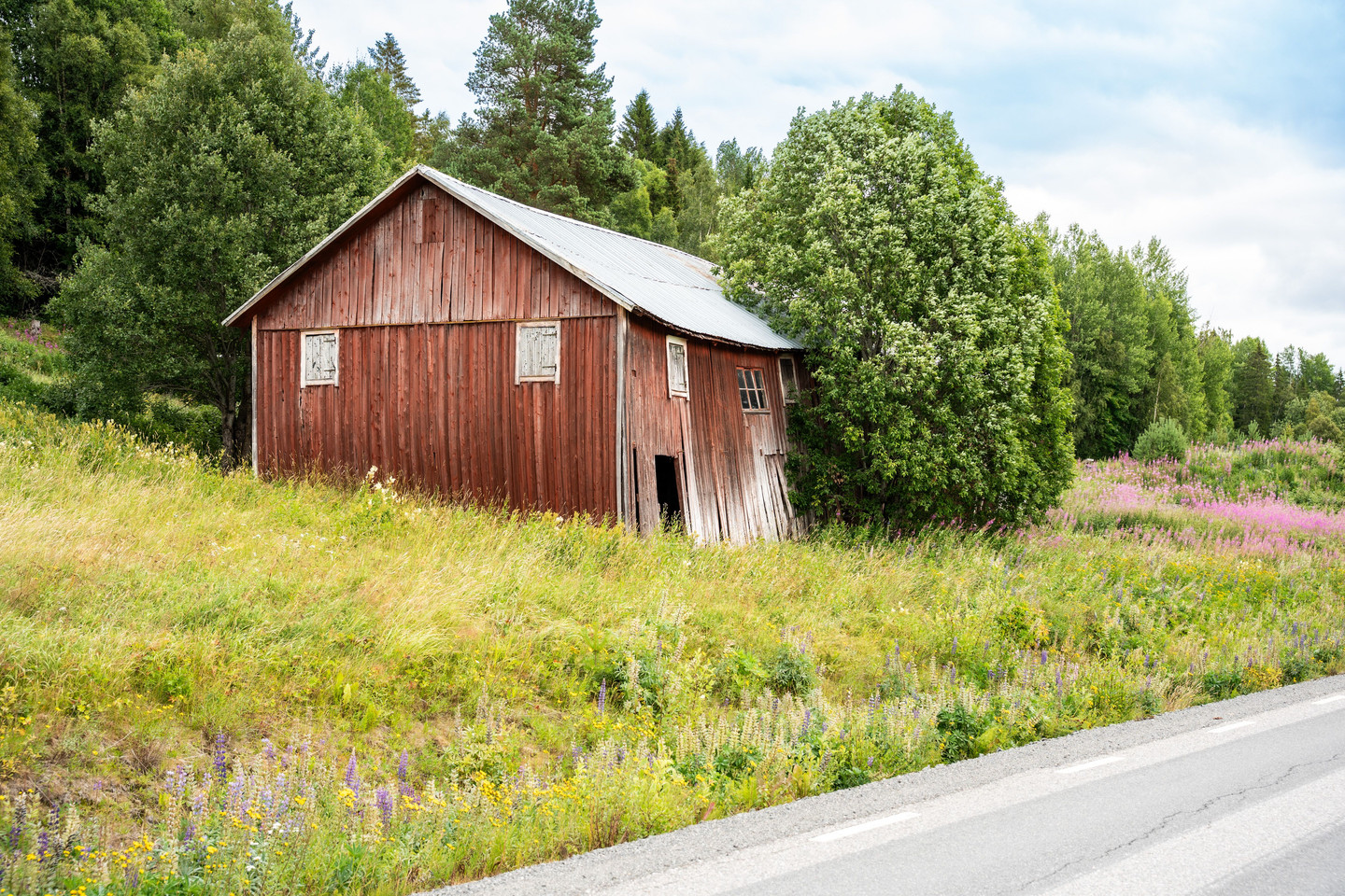 Utanskog 103 – bild 49