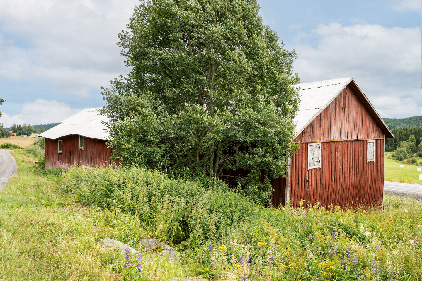 Utanskog 103 – bild 47