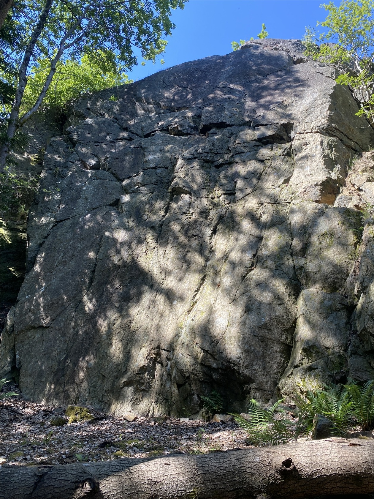 Strand 281 – bild 43