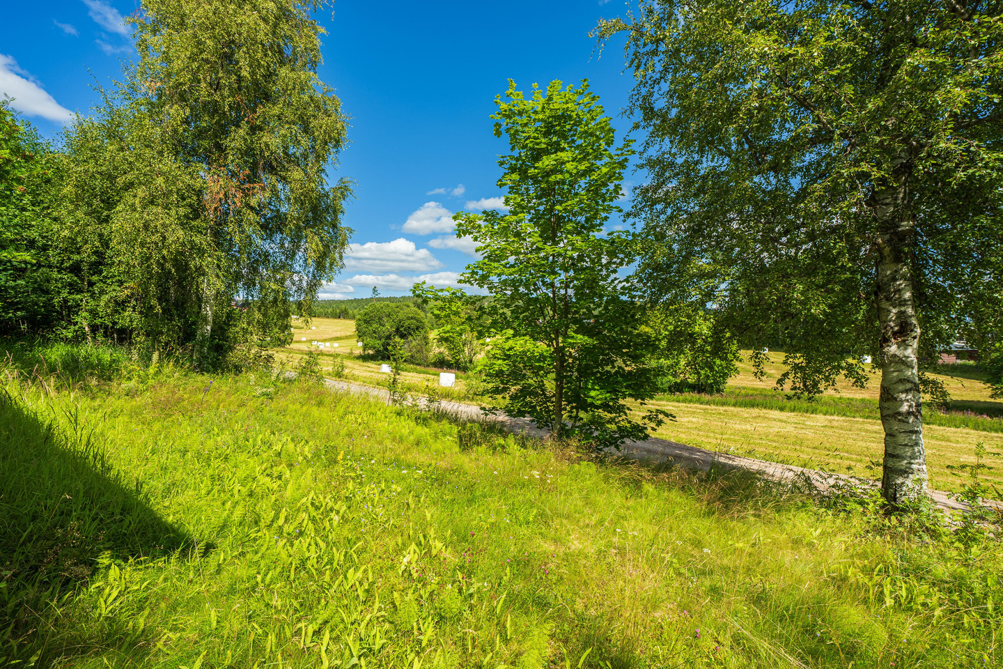 Björsby 205 – bild 43