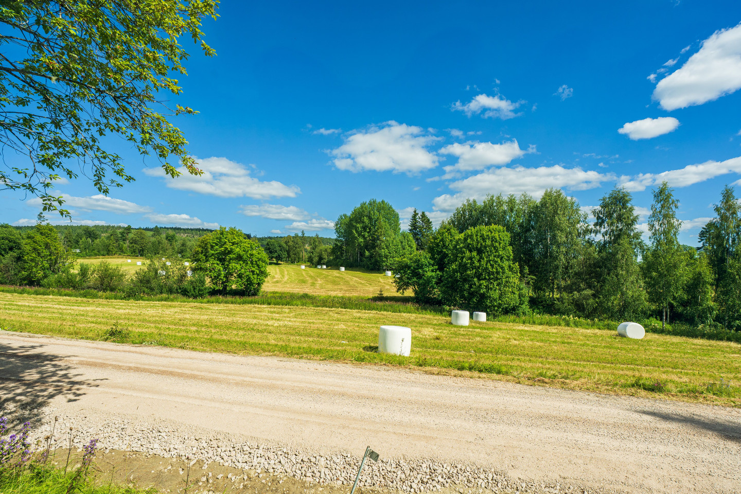 Björsby 205 – bild 10