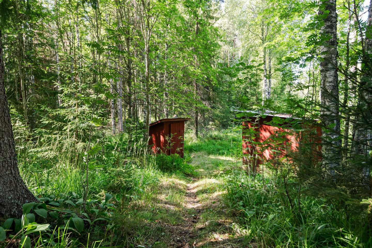 Skenshyttan 6 – bild 16
