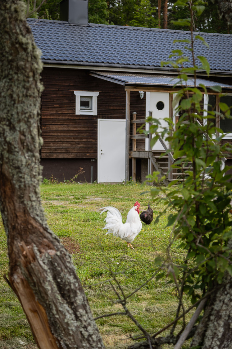 Skalavägen 5, 3 – bild 8