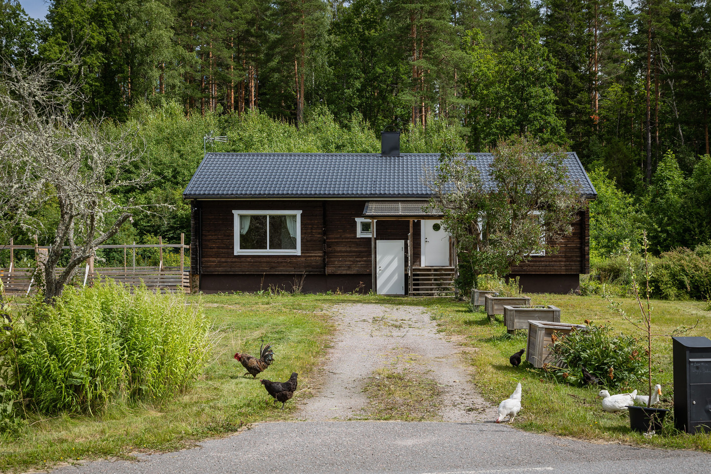 Skalavägen 5, 3 – bild 9