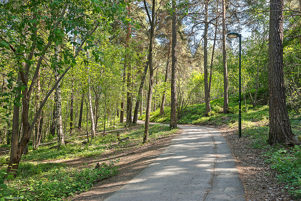 Sköntorpsvägen 100, 2 tr – bild 34